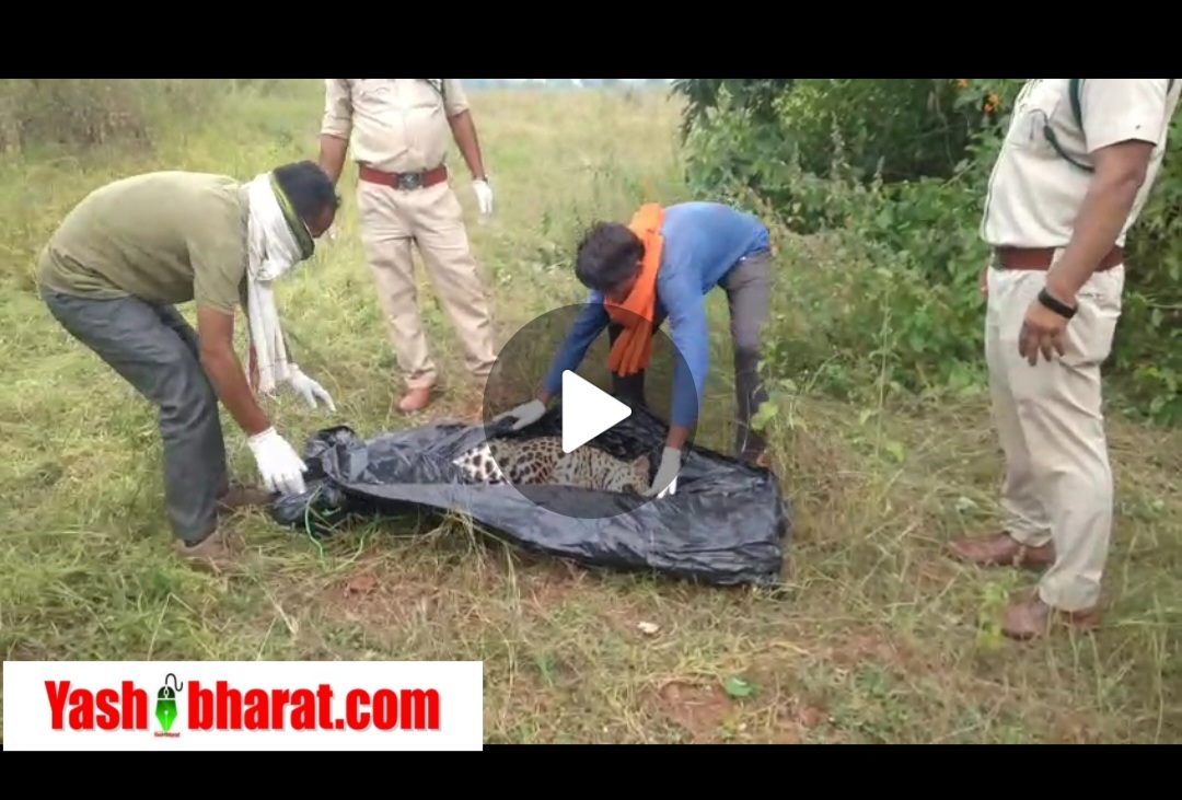 Screenshot 20251025 165558 WhatsApp