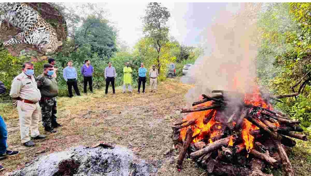 Screenshot 20251027 110214 Gallery