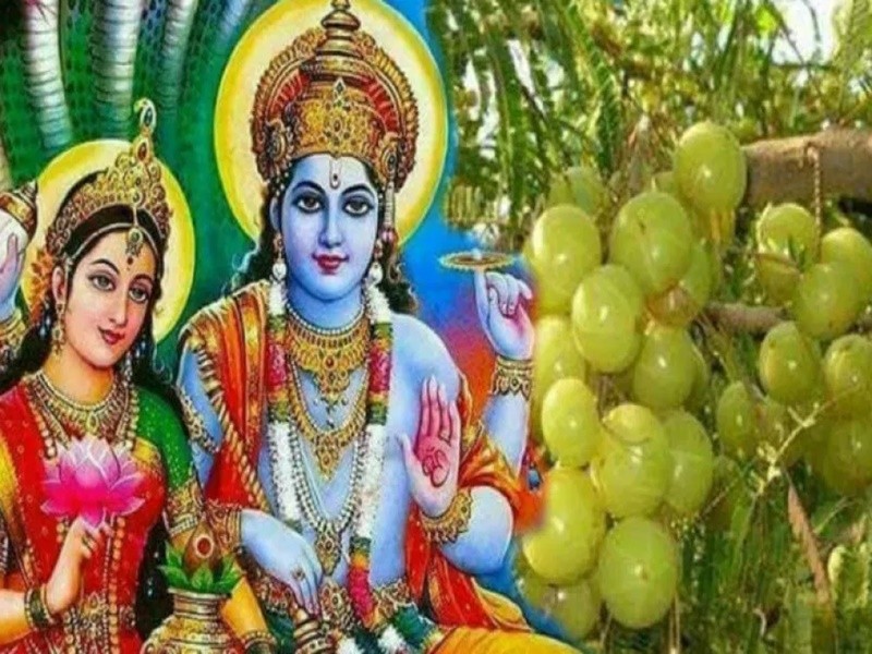 akshaya navami