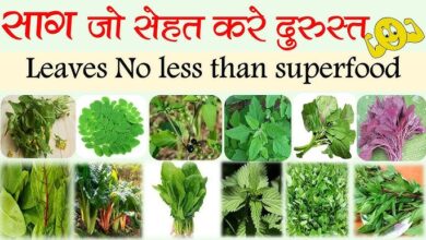 5 पत्तेदार साग जो सबसे ज्यादा न्यूट्रिएंट्स से भरपूर हैं और सेहत के लिए फायदेमंद