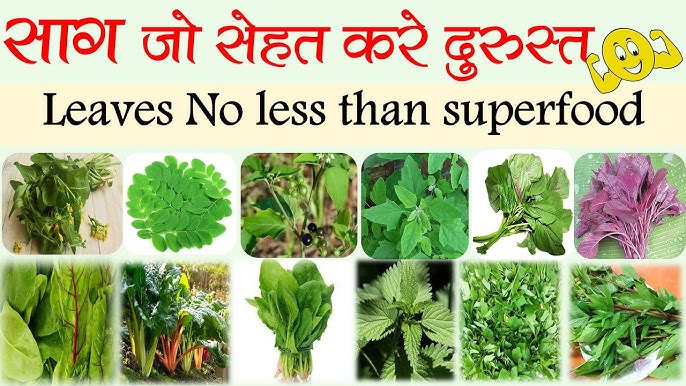 5 पत्तेदार साग जो सबसे ज्यादा न्यूट्रिएंट्स से भरपूर हैं और सेहत के लिए फायदेमंद