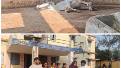 Picsart 25 11 29 16 49 49 965