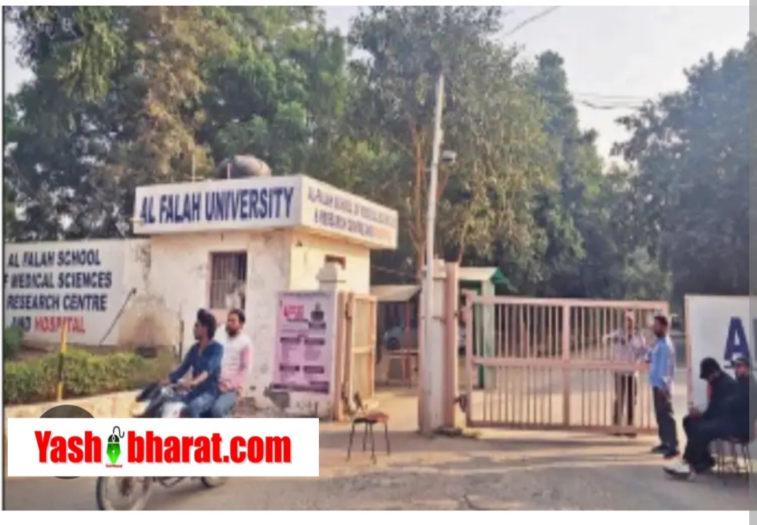 Screenshot 20251113 143709 Chrome