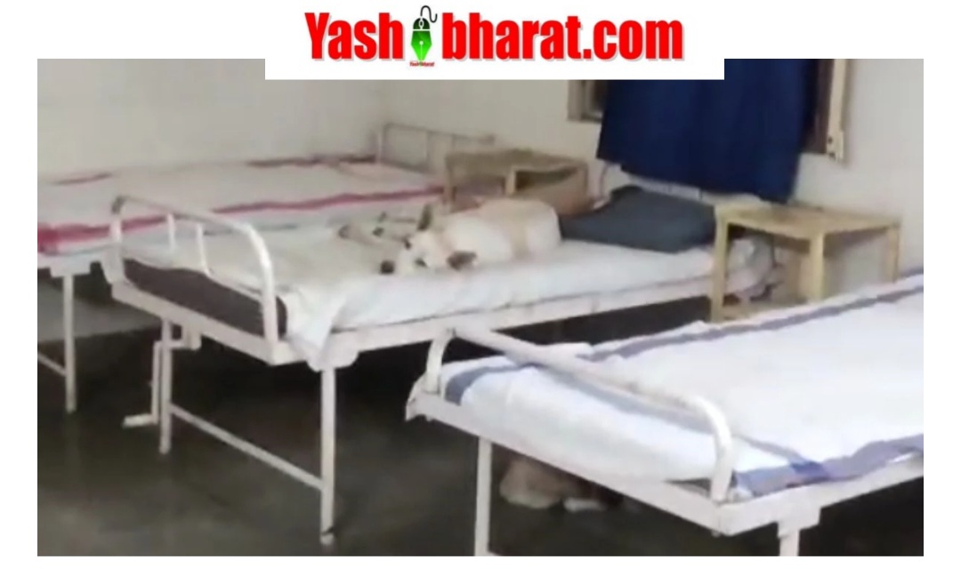 Screenshot 20251121 170712 Chrome