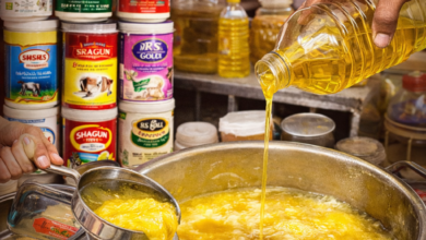 ChatGPT Image Dec 19 2025 06 48 42 PM