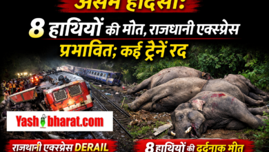 ChatGPT Image Dec 20 2025 10 39 37 AM