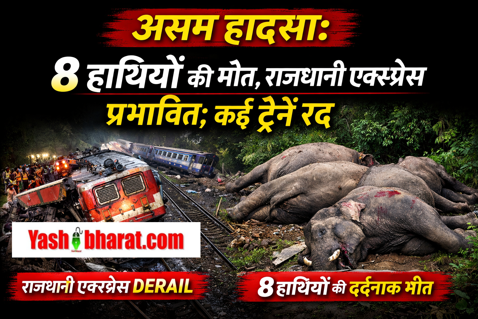 असम हादसा: 8 हाथियों की मौत, राजधानी एक्सप्रेस प्रभावित; कई ट्रेनें रद्द 1 ChatGPT Image Dec 20 2025 10 39 37 AM