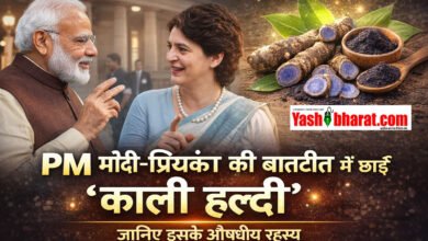 PM मोदी-प्रियंका की बातचीत में छाई ‘काली हल्दी’, जानिए इसके औषधीय रहस्य 4 PM मोदी-प्रियंका की बातचीत में छाई ‘काली हल्दी’, जानिए इसके औषधीय रहस्य
