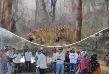 Picsart 25 12 21 21 16 54 673