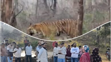 Picsart 25 12 21 21 16 54 673