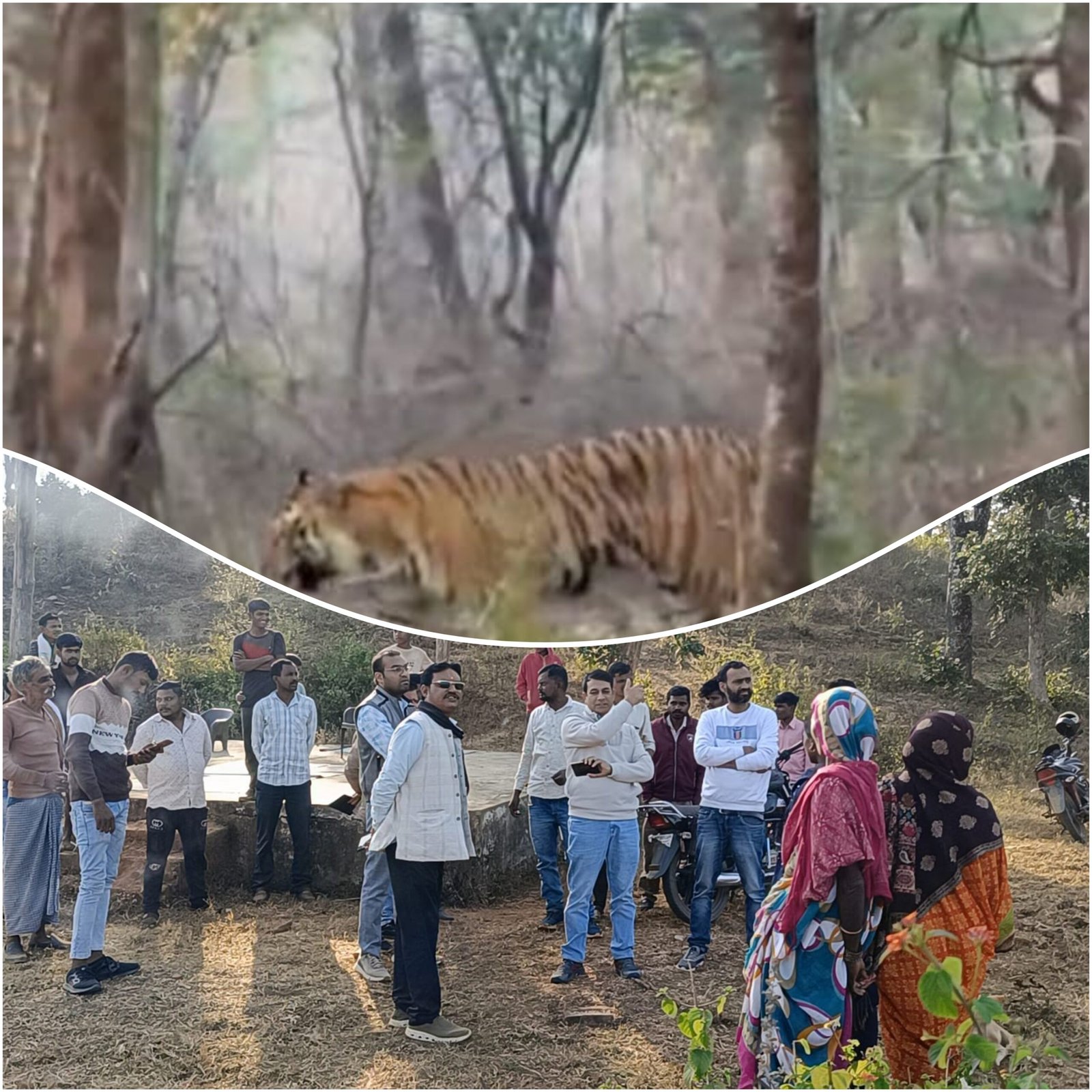 Picsart 25 12 21 21 16 54 673 scaled