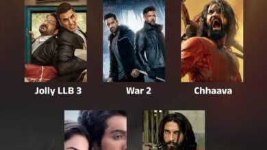 2025: बॉक्स ऑफिस पर भारतीय सिनेमा का स्वर्णिम वर्ष कोविड के बाद सिनेमाघरों में लौटी रौनक, कांतारा, Saiyaara, छावा, वार-2 के बाद धुरंधर की रही धूम 4 images 44