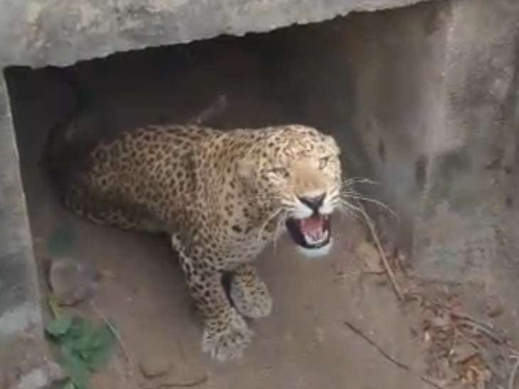 969b854a 6331 4237 9706 6c469272a368 1749724471556