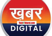 IMG 20241218 WA0017 1