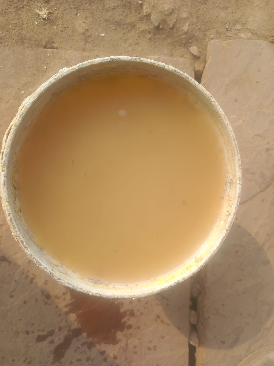 इंदौर के भागीरथपुरा में नर्मदा जल पर बड़ा खुलासा: पानी में हैजा-डायरिया के खतरनाक बैक्टीरिया, स्वास्थ्य के लिए गंभीर खतरा 22 IMG 20260102 WA0015