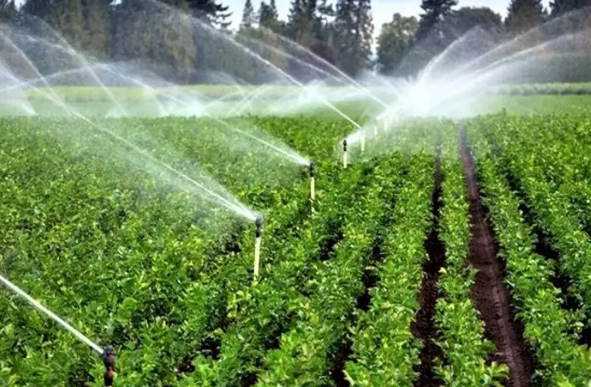 Screenshot 2025 02 12 160829