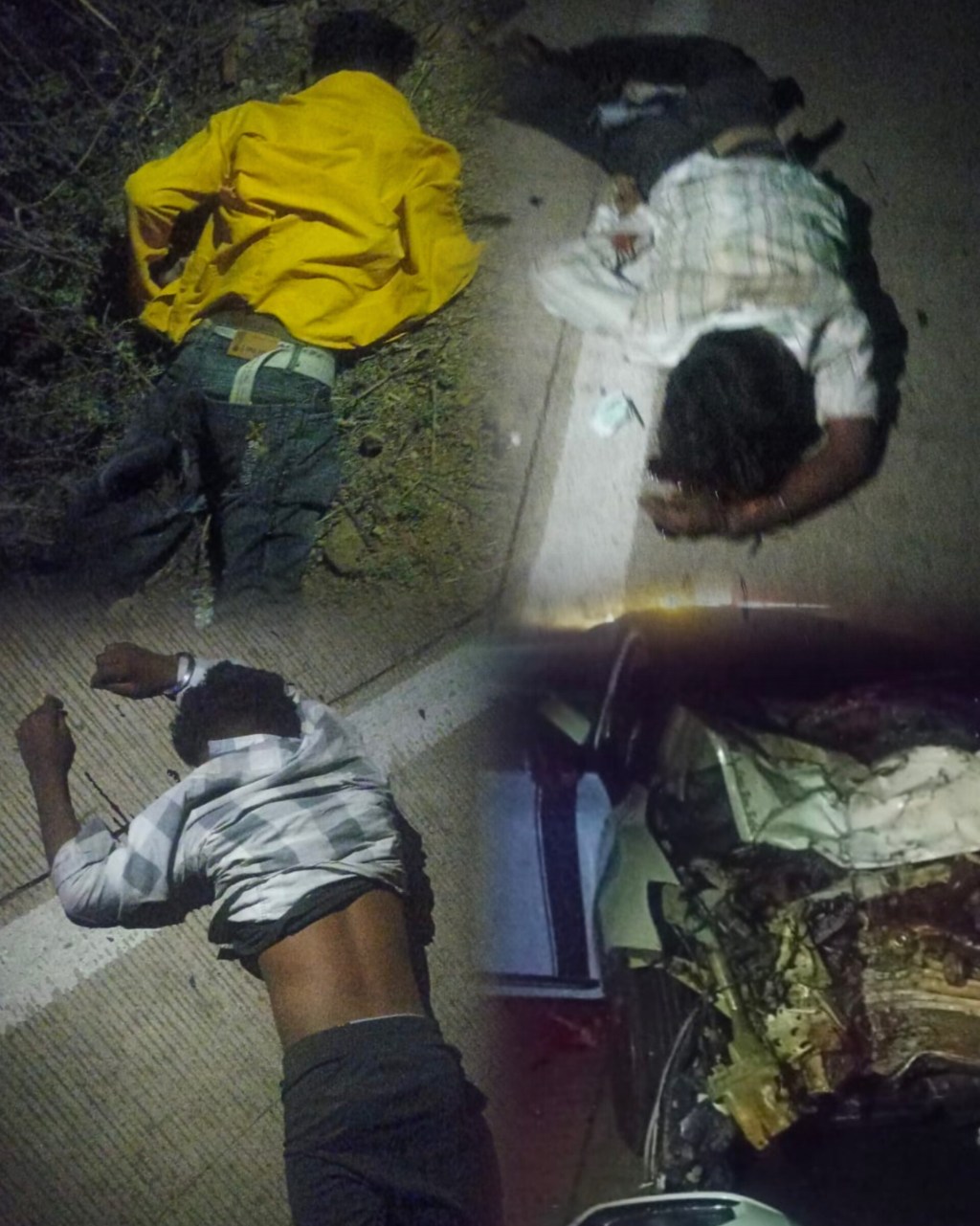 InShot 20260310 084611329