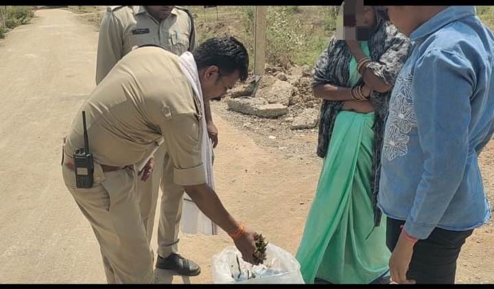 अवैध मादक पदार्थ के विरूद्ध कोतवाली पुलिस की कार्यवाही,उत्तर प्रदेश बांदा की महिला तस्कर 50 हजार रू मूल्य के गांजे के साथ गिरफ्तार 22 IMG 20260420 WA0046