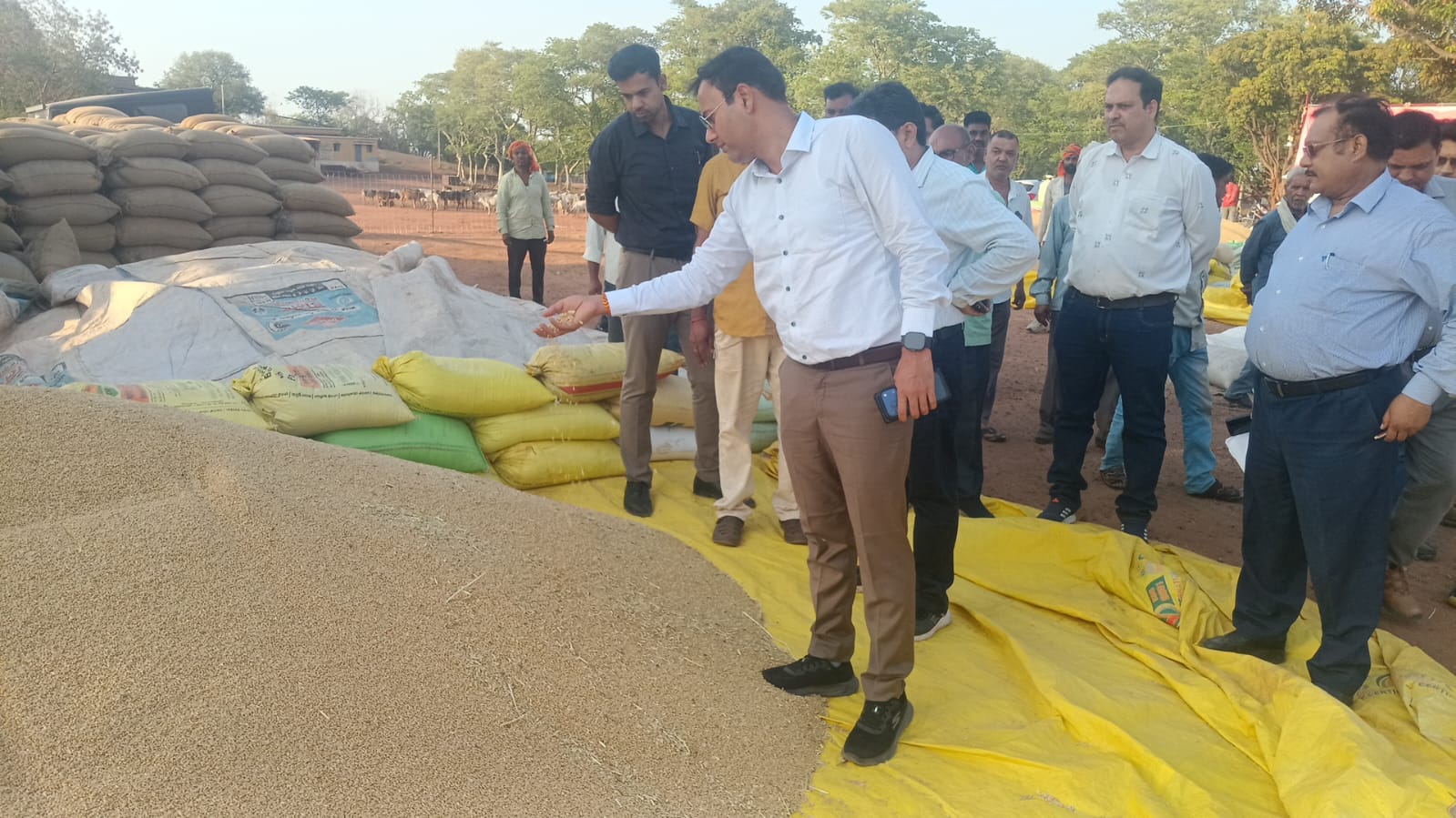 गेहूं उपार्जन में ढीमरखेड़ा तहसील सबसे आगे, विजयराघवगढ़ दूसरे नंबर पर; किसानों को समर्थन मूल्य के साथ मिल रहा ₹40 का बोनस