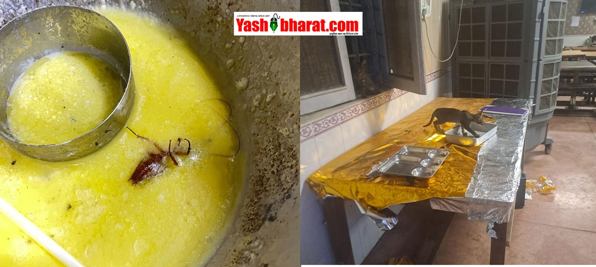 यूनिवर्सिटी हॉस्टल मैस की रसोई में घूम रहे थे कॉकरोच और बिल्ली; खाद्य सुरक्षा विभाग की जांच में खुली पोल, महज 7 हजार का जुर्माना लगाकर प्रशासन ने पल्ला झाड़ा 22 यूनिवर्सिटी हॉस्टल मैस की रसोई में घूम रहे थे कॉकरोच और बिल्ली; खाद्य सुरक्षा विभाग की जांच में खुली पोल, महज 7 हजार का जुर्माना लगाकर प्रशासन ने पल्ला झाड़ा