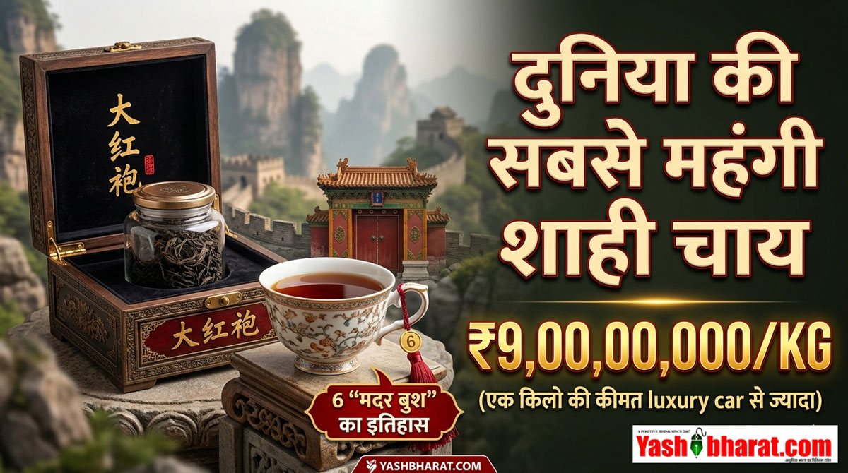 सोना-चांदी छोड़िए: इस चाय की 'एक चुस्की' में बिक जाएंगे कटनी शहर के 3 फ्लैट, सुरक्षा में तैनात रहते हैं कमांडो-yashbharat.com