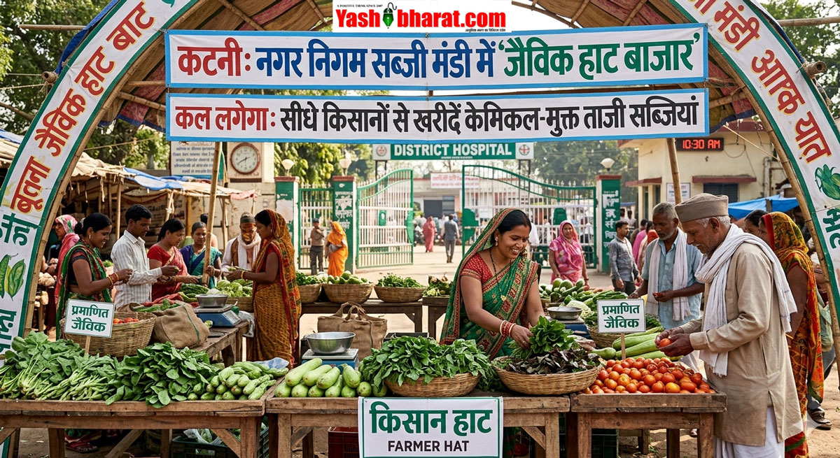 स्वास्थ्य की ओर कटनी के कदम: नगर निगम सब्जी मंडी में कल लगेगा 'जैविक हाट बाजार'; सीधे किसानों से खरीदें केमिकल-मुक्त ताजी सब्जियां