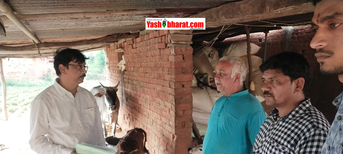 कटनी: पशुपालकों के लिए वरदान बनी 'क्षीर धारा ग्राम योजना', बहोरीबंद में संगोष्ठी; उन्नत किसान ने बताया- 'शहतूत के पत्तों' से कैसे बढ़ाएं दूध