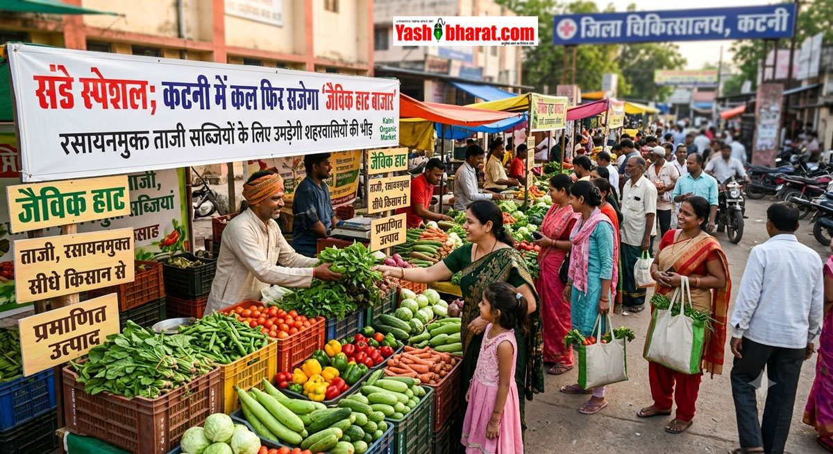 Katni Organic Market: संडे स्पेशल; कटनी में कल फिर सजेगा 'जैविक हाट बाजार', रसायनमुक्त ताजी सब्जियों के लिए उमड़ेगी शहरवासियों की भीड़