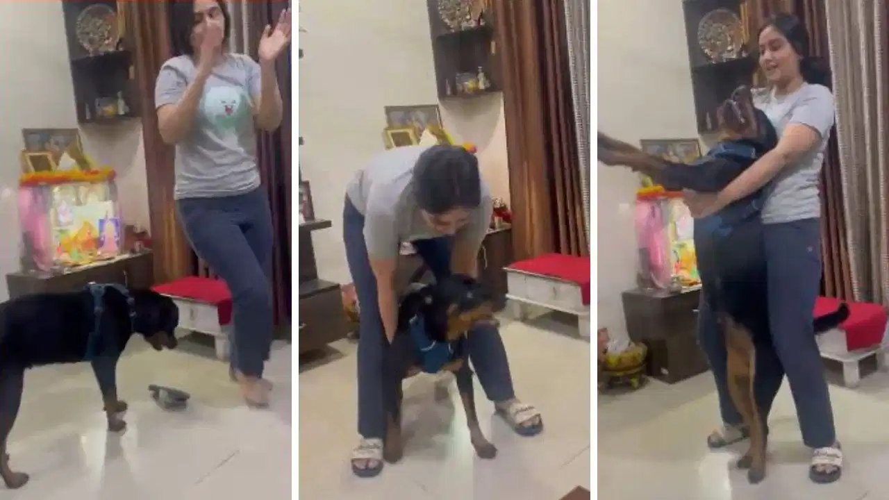 ट्विशा शर्मा सुसाइड केस में नया मोड़! वायरल वीडियो से सास गिरिबाला सिंह के दावों की खुली पोल, अब पद से हटाने की तैयारी 22 ट्विशा शर्मा सुसाइड केस में नया मोड़! वायरल वीडियो से सास गिरिबाला सिंह के दावों की खुली पोल, अब पद से हटाने की तैयारी