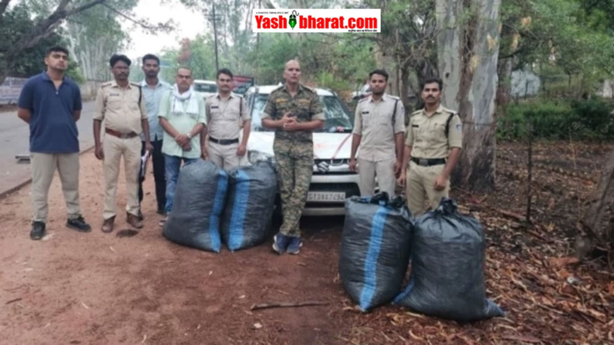 ब्यौहारी पुलिस की बड़ी कार्रवाई, ब्रेजा कार से 1.27 क्विंटल गांजा जब्त; जंगल का फायदा उठाकर तस्कर फरार