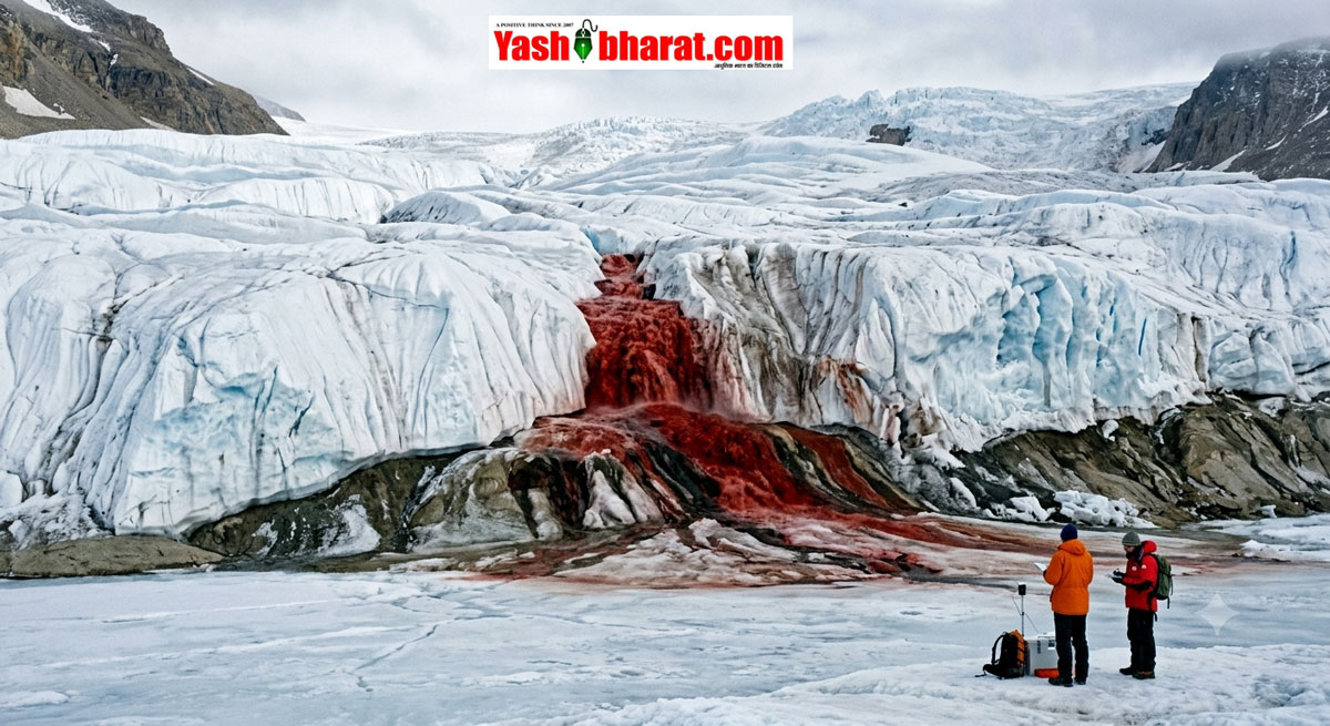 Antarctica Blood Falls: अंटार्कटिका की सफेद बर्फ के बीच बहता है 'खून का झरना'- जानें इस खौफनाक दिखने वाले 'ब्लड फॉल्स' का वैज्ञानिक राज़