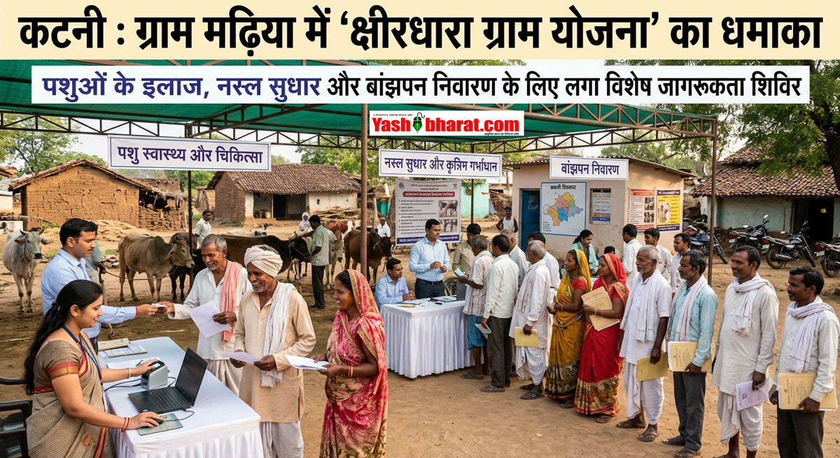 MP Dairy Farming: कटनी के ग्राम मढ़िया में 'क्षीरधारा ग्राम योजना' का धमाका; पशुओं के इलाज, नस्ल सुधार और बांझपन निवारण के लिए लगा विशेष जागरूकता शिविर 22 MP Dairy Farming: कटनी के ग्राम मढ़िया में 'क्षीरधारा ग्राम योजना' का धमाका; पशुओं के इलाज, नस्ल सुधार और बांझपन निवारण के लिए लगा विशेष जागरूकता शिविर