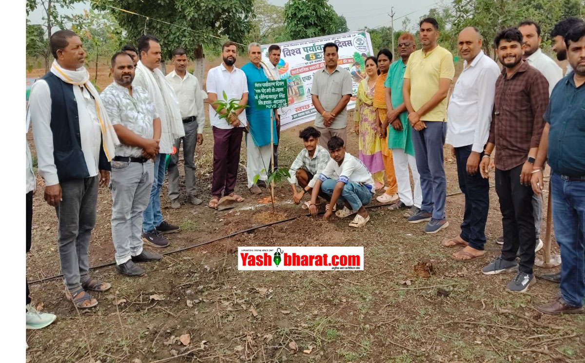 Eco Movement: बजरंग गौशाला परिसर में 'एक पेड़ मां के नाम' अभियान के तहत भारी पौधारोपण; विधायक धीरेंद्र बहादुर सिंह ने नागरिकों को किया प्रेरित