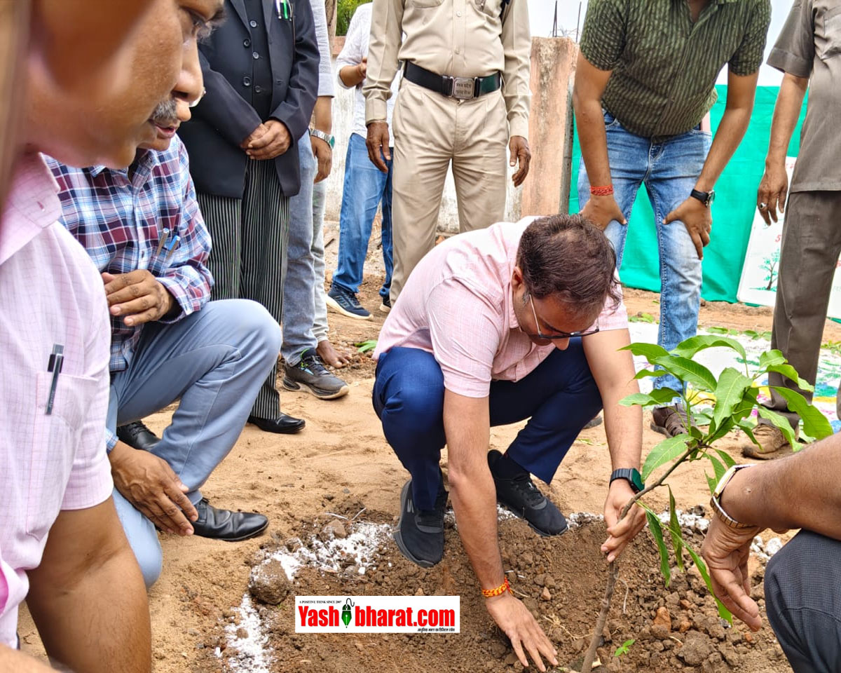 Eco Movement: कटनी में 'एक पेड़ मां के नाम 2.0' अभियान का कड़क आगाज; कलेक्टर ने रोपा आम का पौधा, 'Meri LiFE' पोर्टल से होगी जियो-टैगिंग