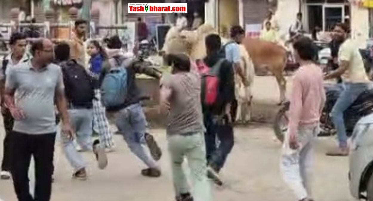 मुरैना के कोचिंग हब जीवाजीगंज में सरेराह गुंडागर्दी: नकाबपोश लड़कों ने छात्र को बीच सड़क पर बेल्ट और लात-घूसों से बेरहमी से पीटा; वीडियो वायरल, 6 से ज्यादा हिरासत में