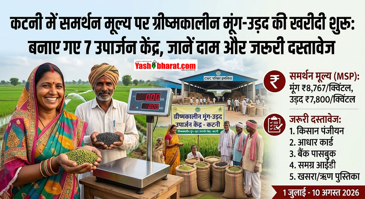कटनी में समर्थन मूल्य पर ग्रीष्मकालीन मूंग-उड़द की खरीदी शुरू: बनाए गए 7 उपार्जन केंद्र, जानें दाम और जरूरी दस्तावेज 22 कटनी में समर्थन मूल्य पर ग्रीष्मकालीन मूंग-उड़द की खरीदी शुरू: बनाए गए 7 उपार्जन केंद्र, जानें दाम और जरूरी दस्तावेज