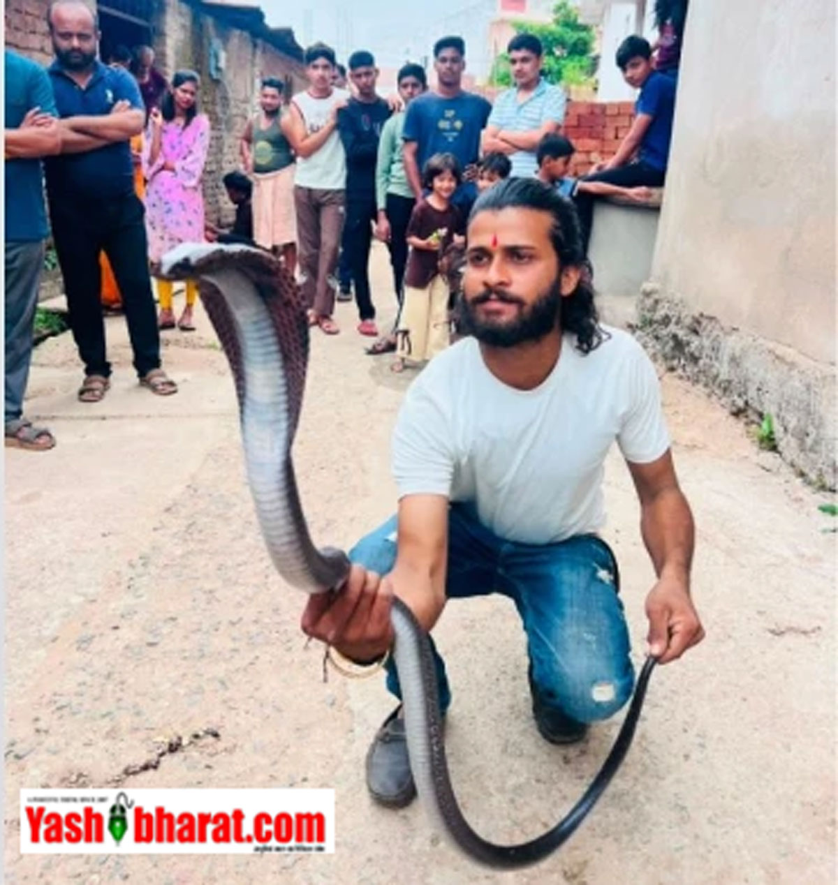 घर में चल रही थी सफाई और सामने आ गया 5 फीट लंबा नाग! इटारसी में कोबरा को देख उड़े परिवार के होश, देखें कैसे हुआ रेस्क्यू