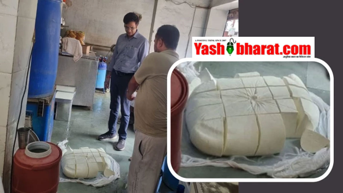 ग्वालियर में 'एनालाग पनीर' के बड़े नेटवर्क की आहट- खाद्य सुरक्षा टीम ने 302 किलो पनीर किया जब्त, त्योहारों से पहले अलर्ट