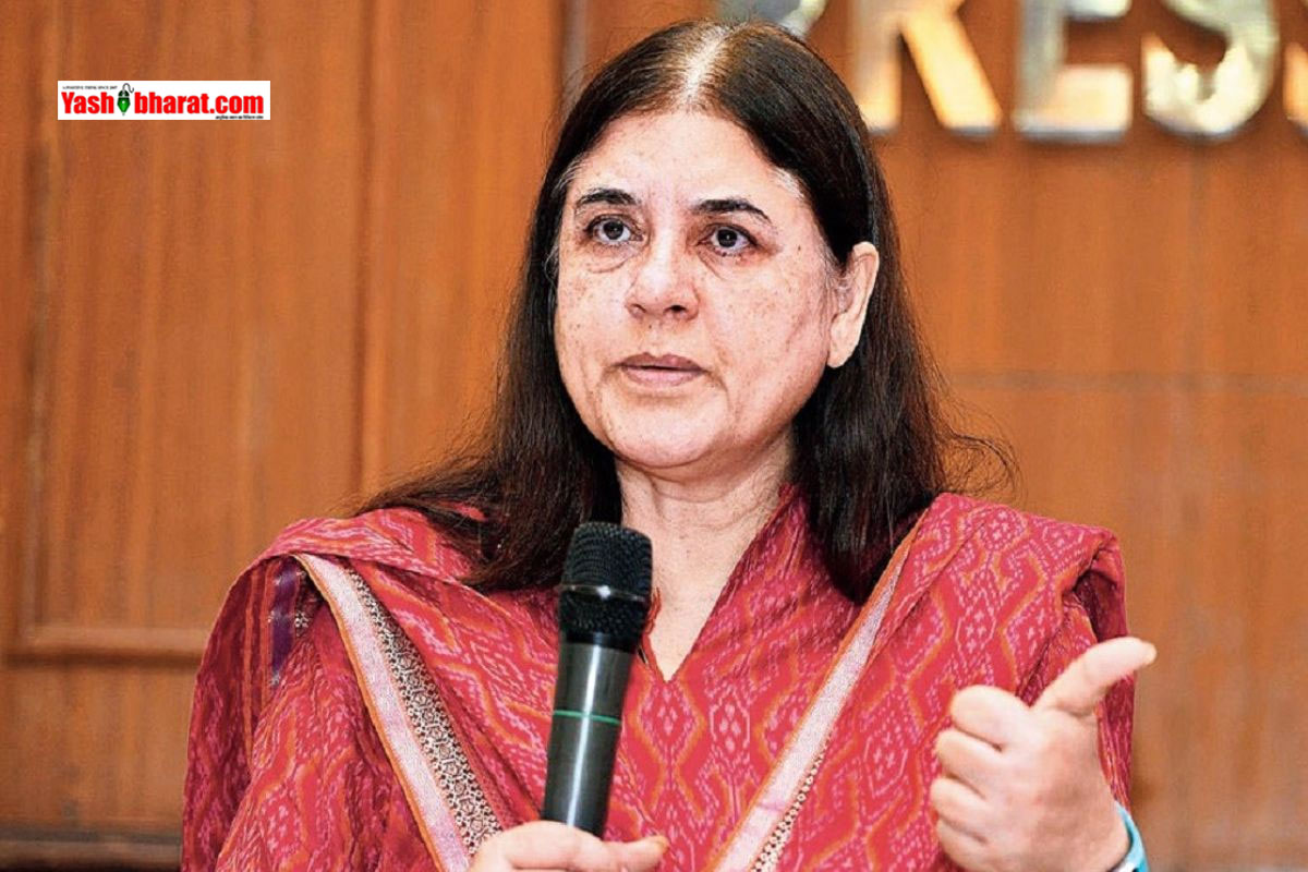 मेनका गांधी और उनकी बहन की रिट अपील खारिज: भोपाल की 522 एकड़ पुश्तैनी जमीन विवाद पर हाई कोर्ट का बड़ा फैसला 22 मेनका गांधी और उनकी बहन की रिट अपील खारिज: भोपाल की 522 एकड़ पुश्तैनी जमीन विवाद पर हाई कोर्ट का बड़ा फैसला
