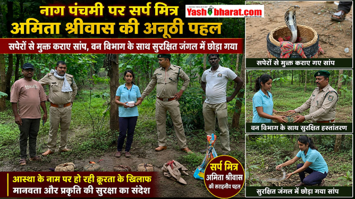 नाग पंचमी पर सर्प मित्र अमिता श्रीवास की अनूठी पहल, सपेरों से मुक्त कराए सांप वन विभाग के साथ सुरक्षित जंगल मे छोड़ा गया