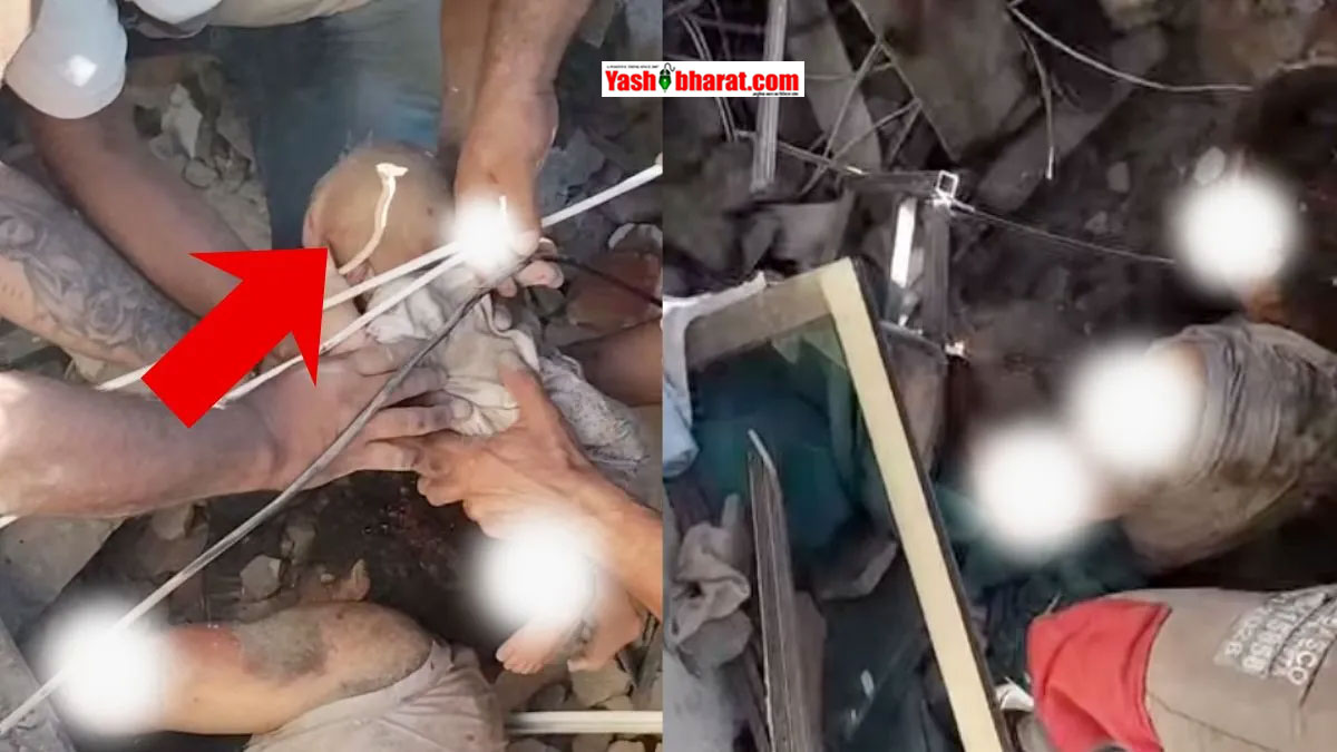 Heartwarming Miracle: कोलंबिया में भूकंप के मलबे से सुरक्षित निकाला गया नवजात बच्चा; 7.4 तीव्रता के झटकों में अब तक 181 लोगों की मौत