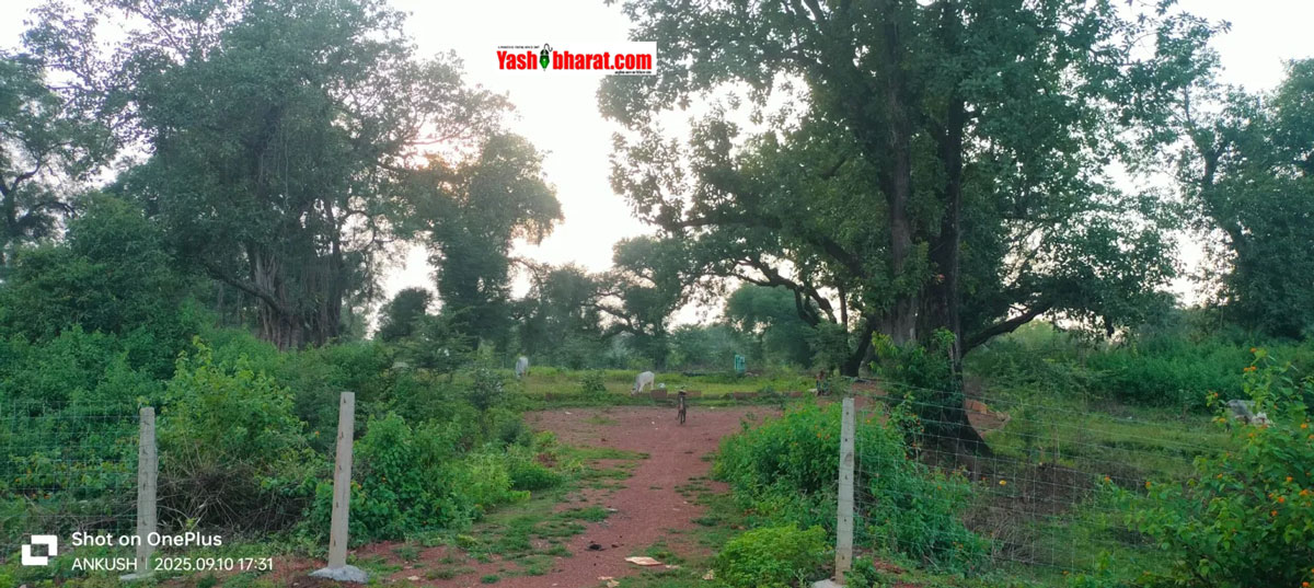 स्लीमनाबाद में सैनिक छावनी की भूमि पर अतिक्रमण मामले में हाईकोर्ट का महत्वपूर्ण फैसला, याचिकाकर्ता पर 10 हजार रुपये जुर्माने के साथ याचिका खारिज 22 स्लीमनाबाद में सैनिक छावनी की भूमि पर अतिक्रमण मामले में हाईकोर्ट का महत्वपूर्ण फैसला, याचिकाकर्ता पर 10 हजार रुपये जुर्माने के साथ याचिका खारिज