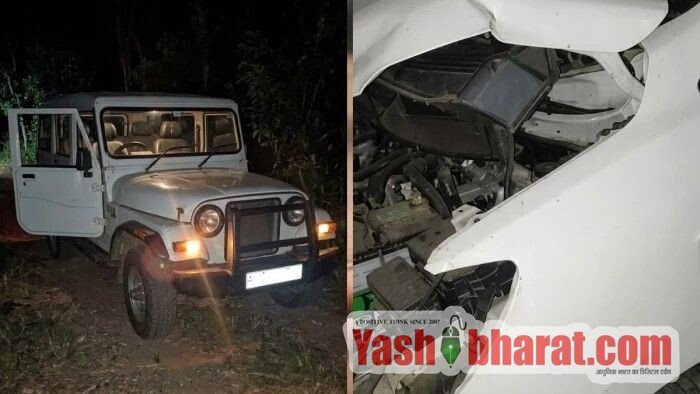 उमरिया सड़क हादसा