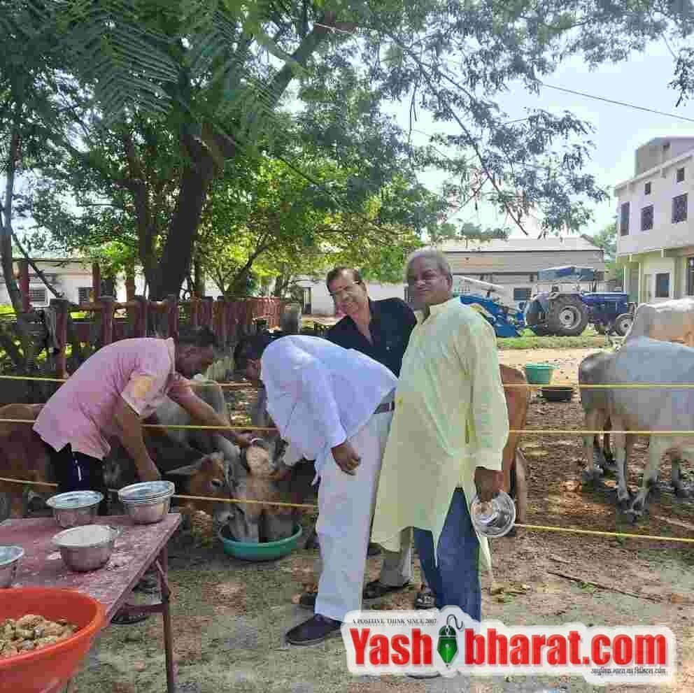 मुनि सुव्रतनाथ गौशाला मंदिर में मूक पशुओं को आहार खिलाकर मनाया क्षमावाणी पर्व 10 1001837723 50kb