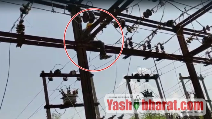 10 10 2026 satna electricity operator 20261010 131846 m