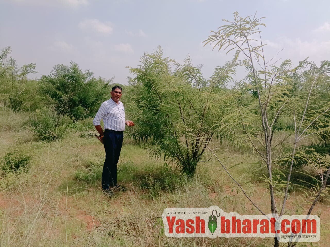 व्हीबी जीरामजी योजना से बदली गांव की तस्वीर: आंवला पौधरोपण से पर्यावरण संरक्षण, जलस्तर में सुधार और सिंचाई को मिला बढ़ावा 6 IMG 20261029 WA0010