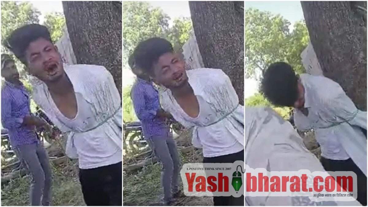 guest teacher ko ped se ban