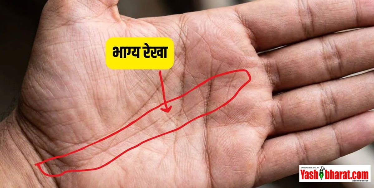 चंद्र पर्वत से निकली है भाग्य रेखा या कटी-छंटी है? जानिए अपनी हथेली की रेखाओं का असली मतलब 2 चंद्र पर्वत से निकली है भाग्य रेखा या कटी-छंटी है? जानिए अपनी हथेली की रेखाओं का असली मतलब