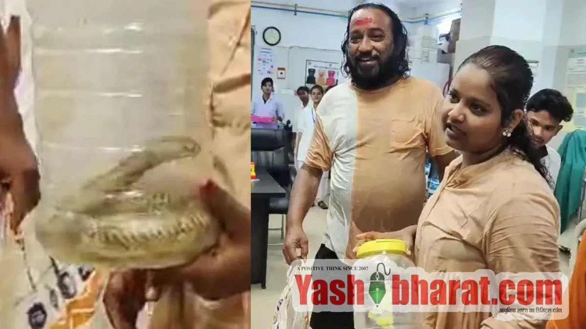 सांप के डसने पर हाथ में 'जिंदा कोबरा' लेकर अस्पताल पहुंची युवती, डॉक्टर और मरीज देखकर सहमे 10 सांप के डसने पर हाथ में 'जिंदा कोबरा' लेकर अस्पताल पहुंची युवती, डॉक्टर और मरीज देखकर सहमे