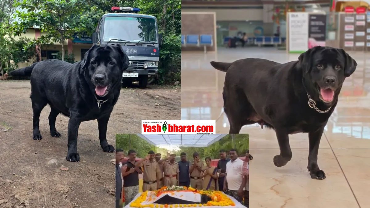 वाशिम पुलिस की जांबाज डॉग 'स्टेफी' का निधन: नम आंखों से खाकी ने अपने बेजुबान साथी को दी अंतिम विदाई